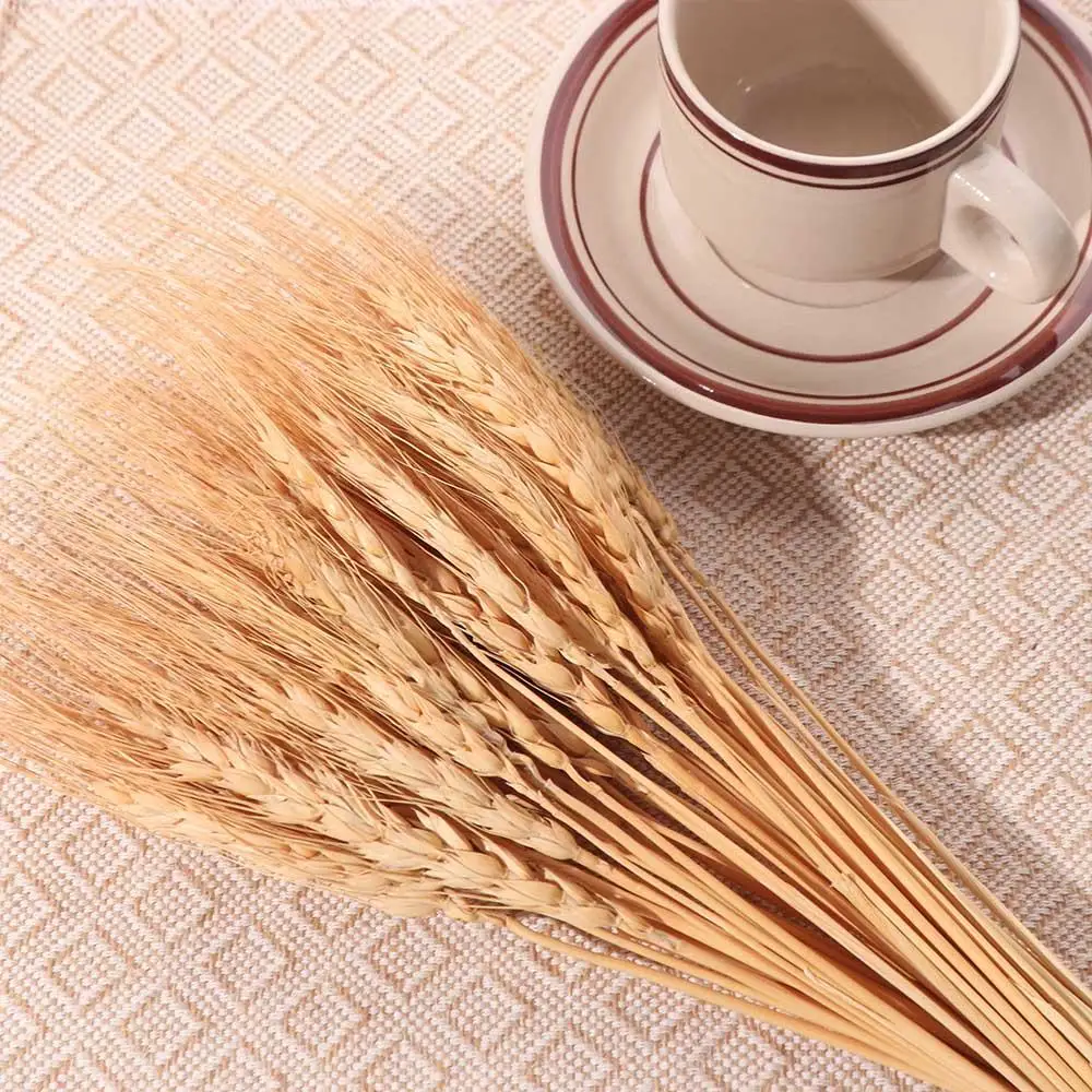 50pcs Artificial Flower Natura - đánh giá và giá Wedding Ceremony Supply