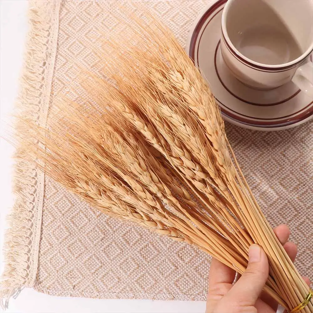 50pcs Artificial Flower Natura - đánh giá và giá Wedding Ceremony Supply